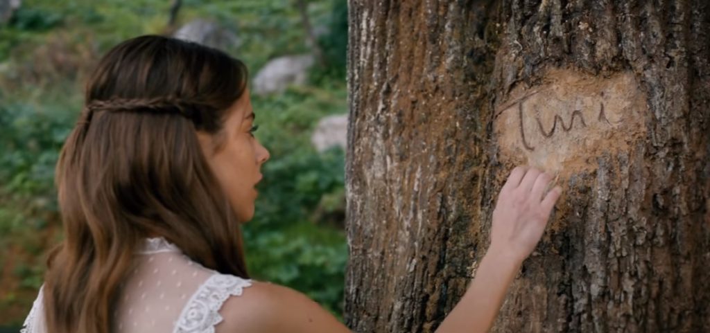 martina-stoessel-tini-la-nuova-vita-di-violetta-albero