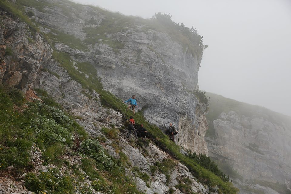 la-pelle-dell-orso-nebbia-dolomiti-veneto-italy-movie-walks