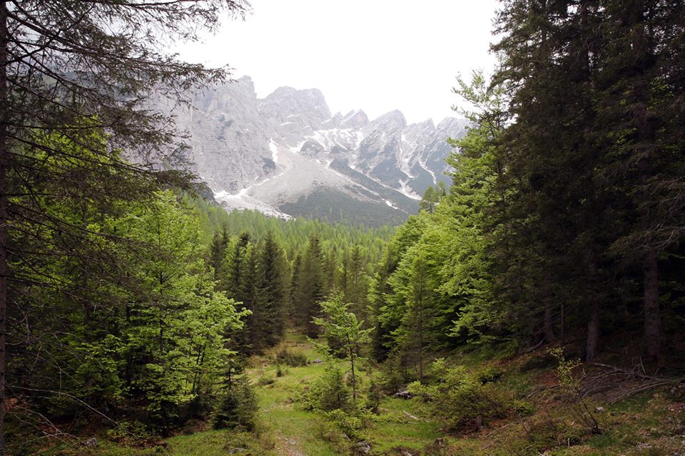 sentieri-dolomiti-la-pelle-dell-orso-italy-movie-walks