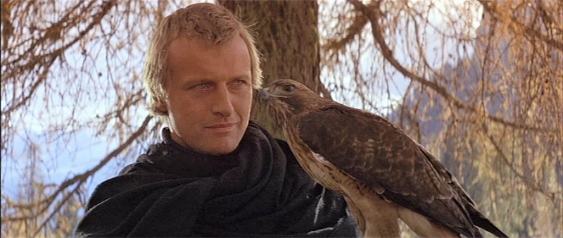 Navarre e il suo falco
